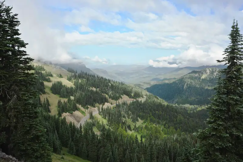 Forested valleys and ridges of the Olympic Mountains under clouds