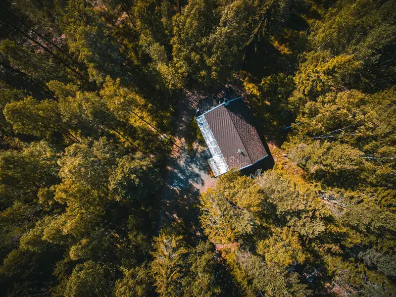 Aerial view of a rural home surrounded by tall evergreen trees